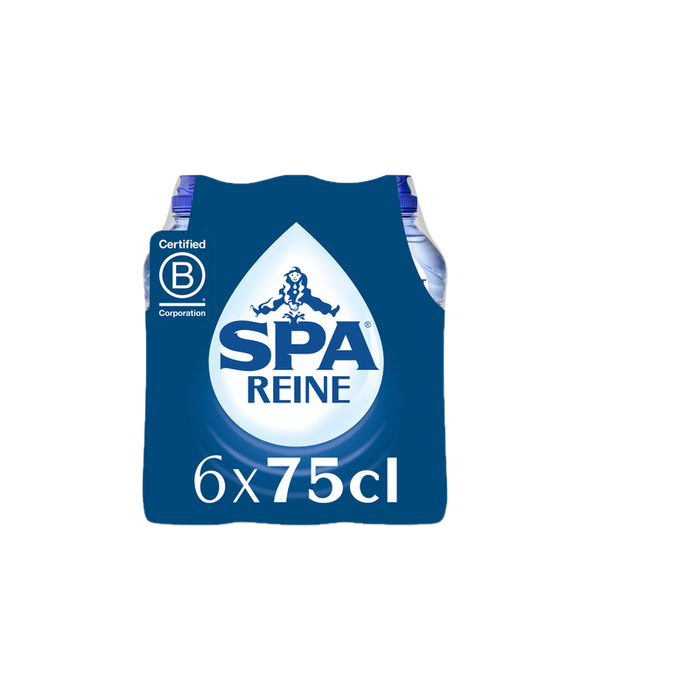 SPA REINE PET BOUCHON SPORT 6x75cl