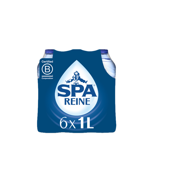 SPA REINE PET 6x1L