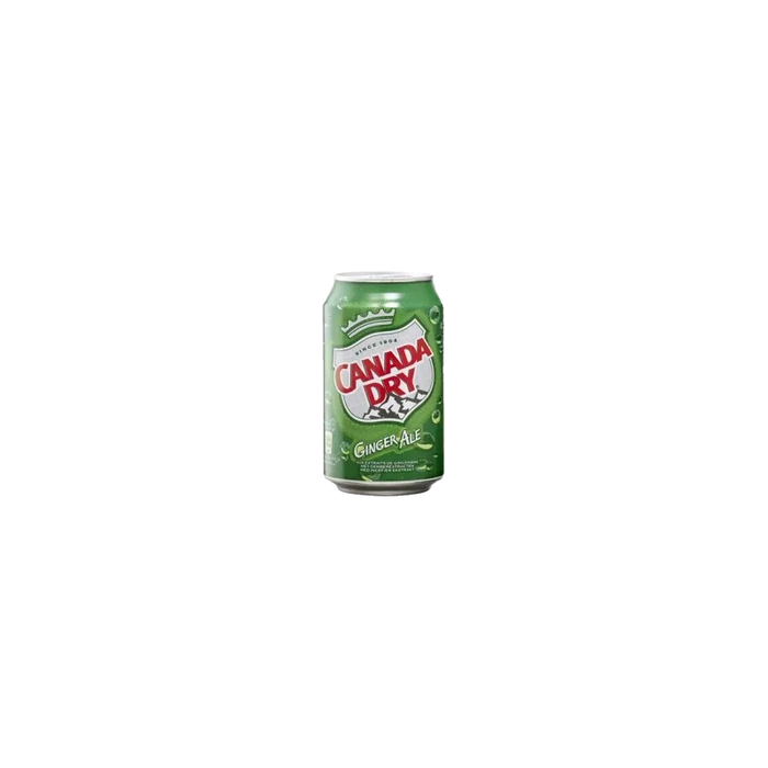 CANADA DRY CAN 24x33cl