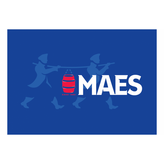 MAES DAVID 20L FUT
