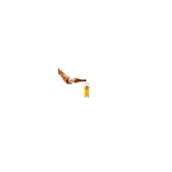 LUTGARDE LULU PILS BIO 20L FUT